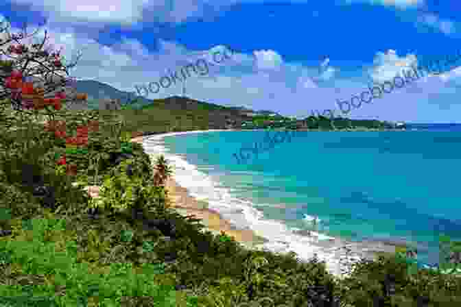 A Beautiful Beach In Puerto Rico What S Great About Puerto Rico? (Our Great States)