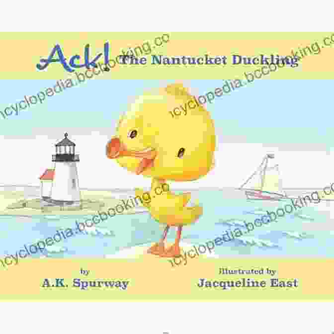 Ack The Nantucket Duckling On The Beach With Sunset And Waves In The Background Ack The Nantucket Duckling A K Spurway