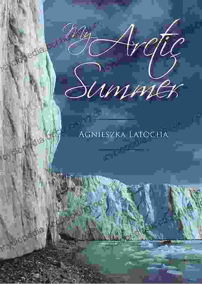 Book Cover Of 'My Arctic Summer' Featuring A Stunning Panoramic View Of The Arctic Wilderness My Arctic Summer Agnieszka Latocha