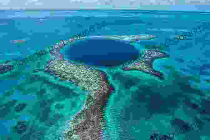 Immerse Yourself In The Vibrant Underwater World Of The Belize Barrier Reef Belize Story A R Corbin