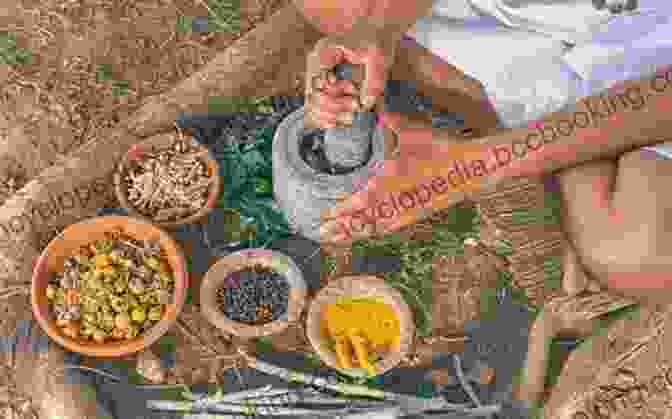 Indigenous Healers Preparing Medicinal Plants A Cree Healer And His Medicine Bundle: Revelations Of Indigenous Wisdom Healing Plants Practices And Stories