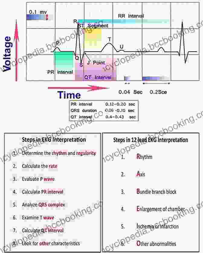Nurse Analyzing An Electrocardiogram 12 Lead EKG For Nurses: Simple Steps To Interpret Rhythms Arrhythmias Blocks Hypertrophy Infarcts Cardiac Drugs