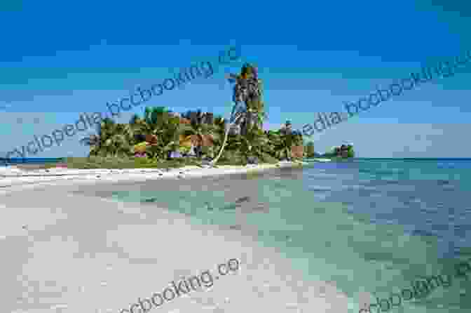 Panoramic View Of Laughing Bird Caye, A Secluded Haven In Belize With Pristine Beaches And Vibrant Coral Gardens. Island Time: Adventures Of A Traditional Wooden Sailboat In Belize