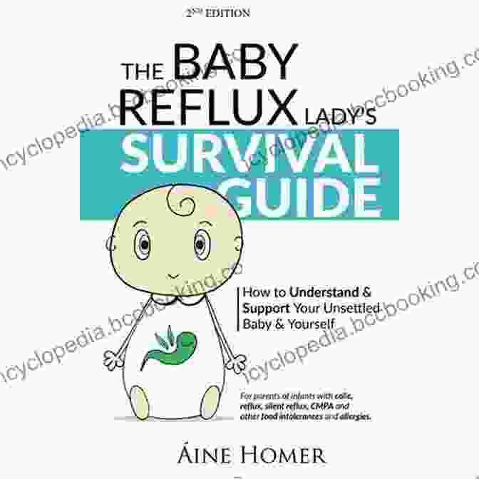 Smiling Baby The Baby Reflux Lady S Survival Guide 2nd Edition: How To Understand And Support Your Unsettled Baby And Yourself