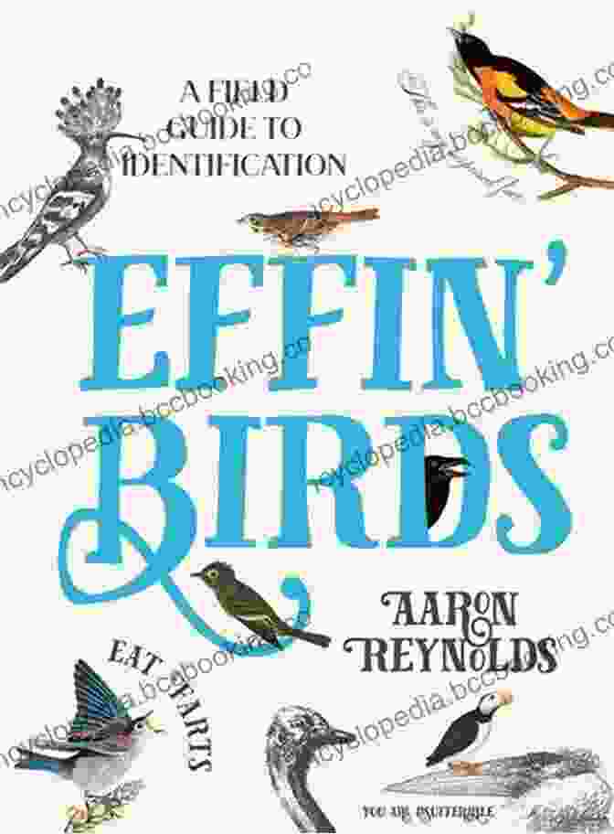 The Cover Of The Effin Birds Field Guide To Identification, Featuring A Colorful Bird With The Word 'Effin' Written Across It Effin Birds: A Field Guide To Identification