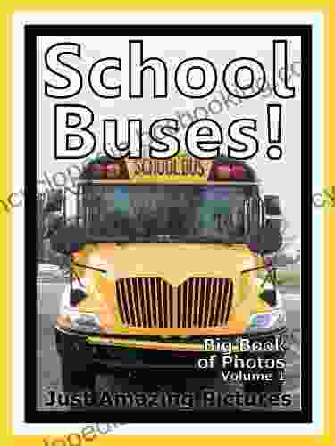 Just School Bus Photos Big Of Photographs Pictures Of School Buses Vol 1