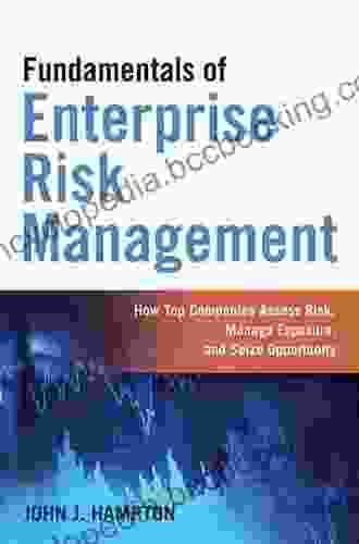 Fundamentals Of Enterprise Risk Management: How Top Companies Assess Risk Manage Exposure And Seize Opportunity