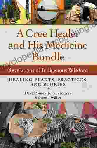 A Cree Healer And His Medicine Bundle: Revelations Of Indigenous Wisdom Healing Plants Practices And Stories